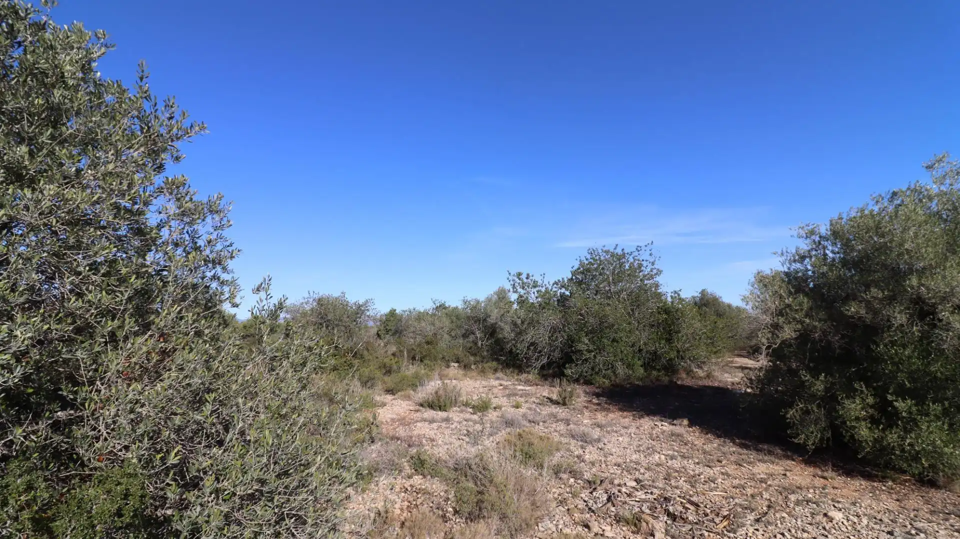 Rural land for sale in Partidas de interior - Zona Rústica, imagen 4