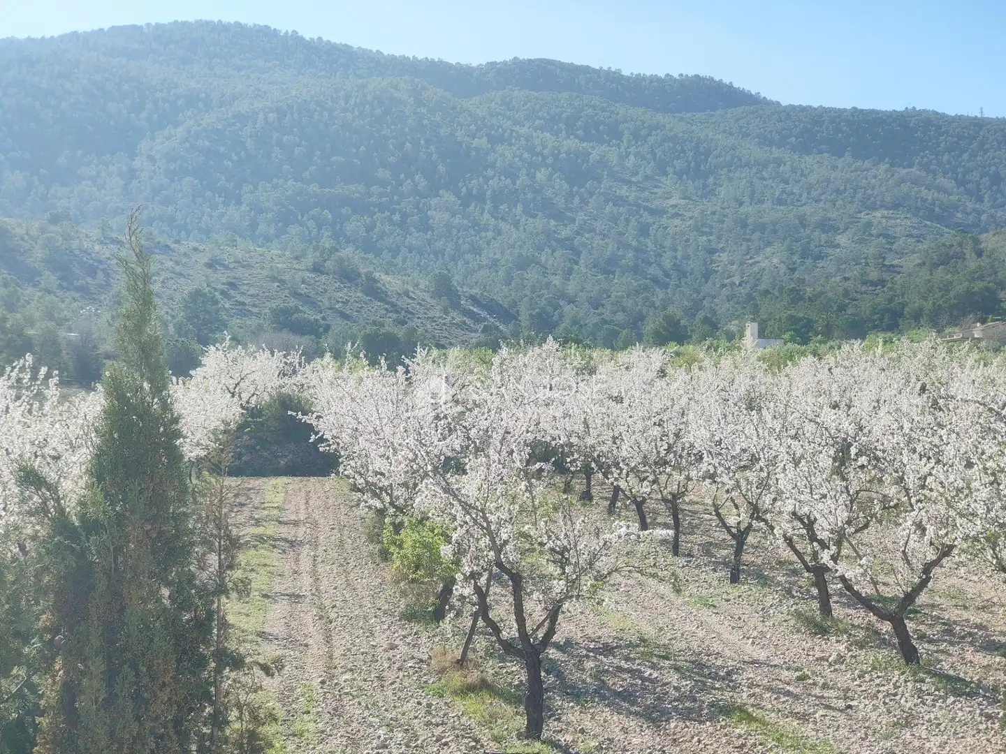 Chalet con piscina en venta en Hondón de las Nieves / El Fondó de les Neus, imagen 57