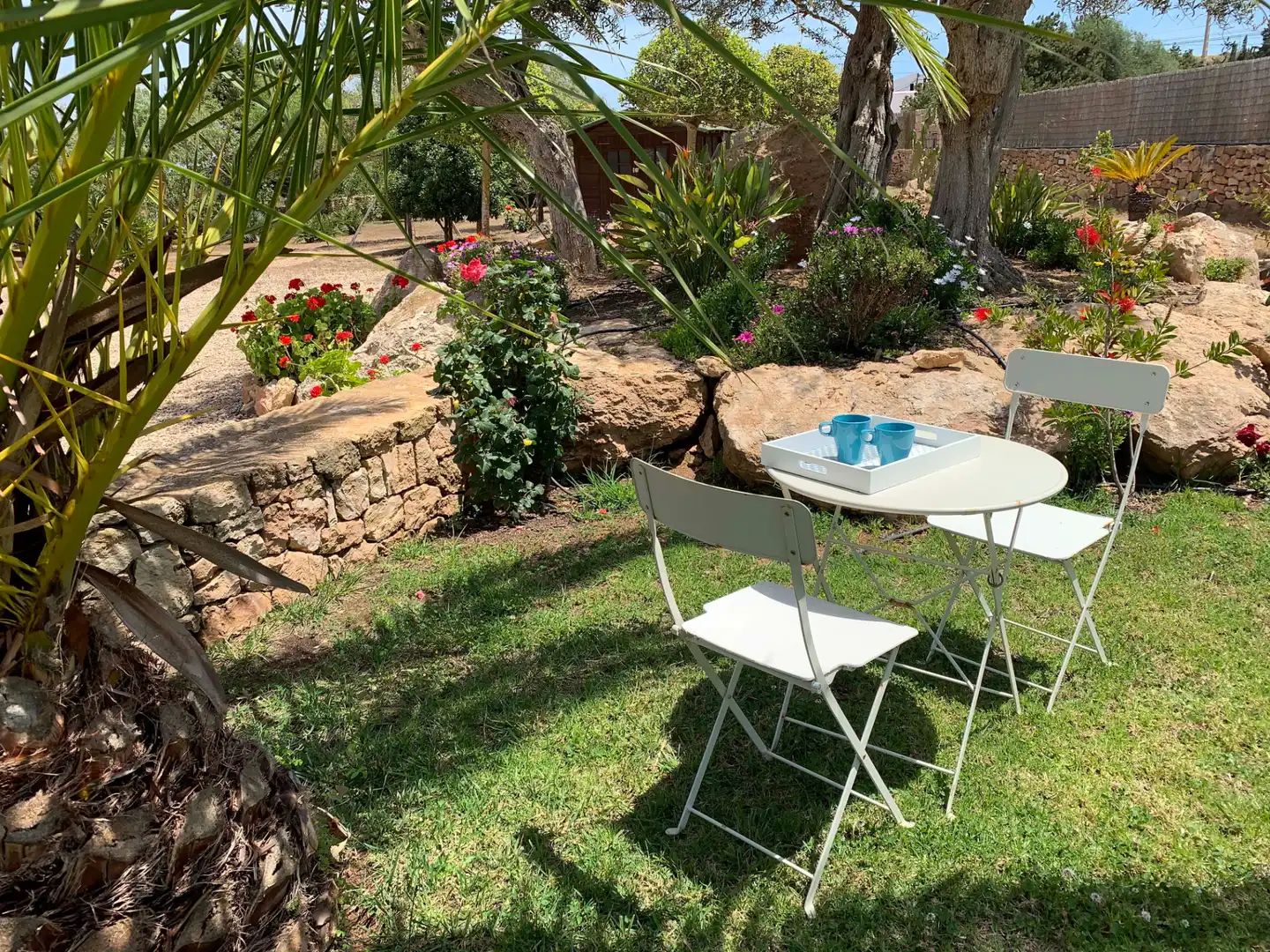 Jardí de Casa o xalet en venda en Formentera amb Aire condicionat, Calefacció i Jardí privat