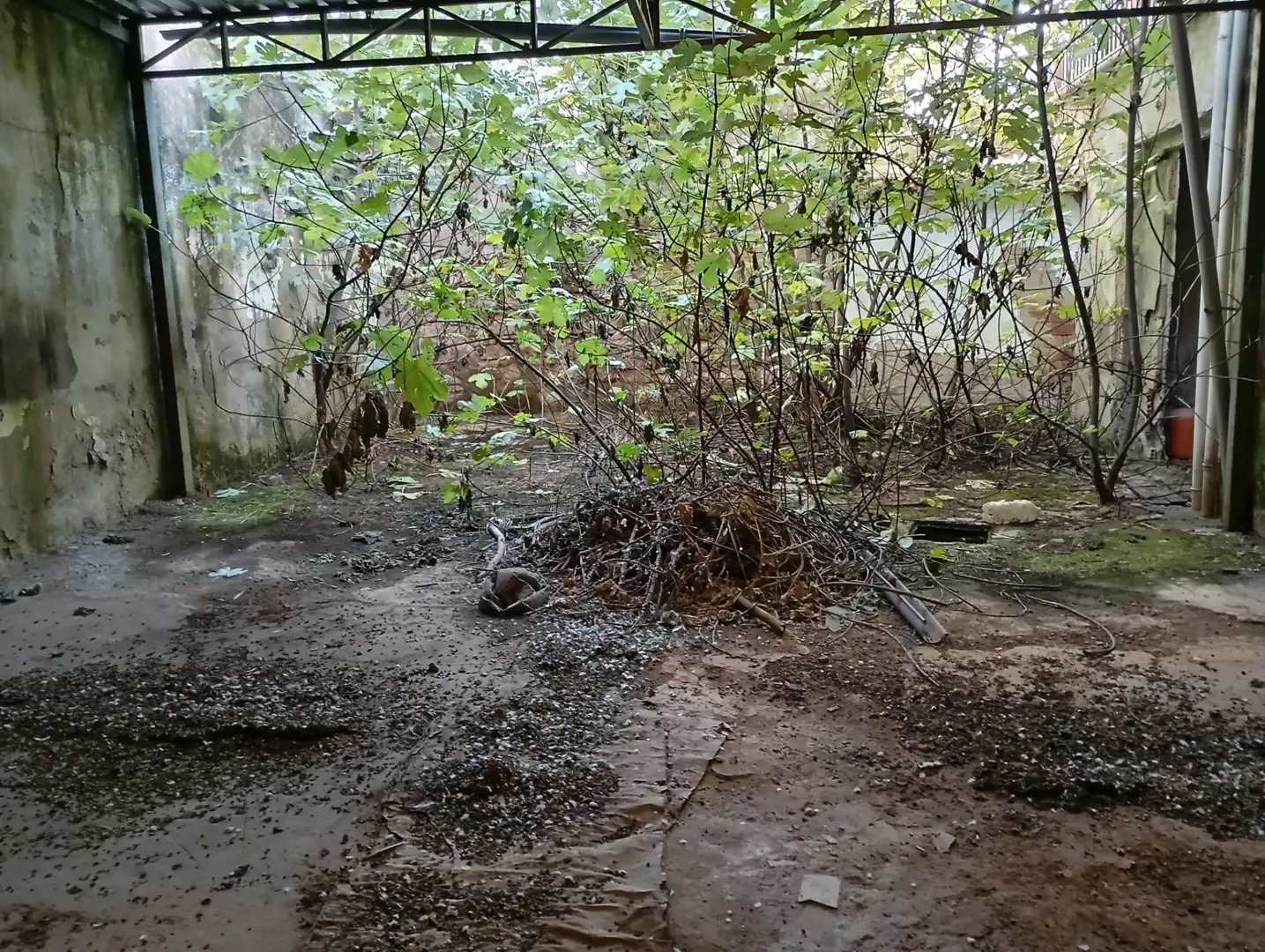 Jardí de Casa o xalet en venda en Linares