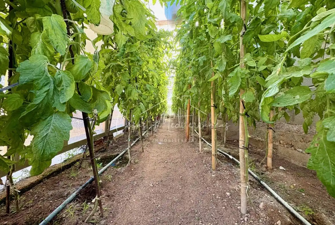 Finca rústica en venta en Mont-roig del Camp con Jardín privado, Terraza y Piscina