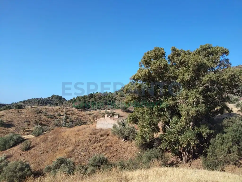 Terreno residencial en venta en Este