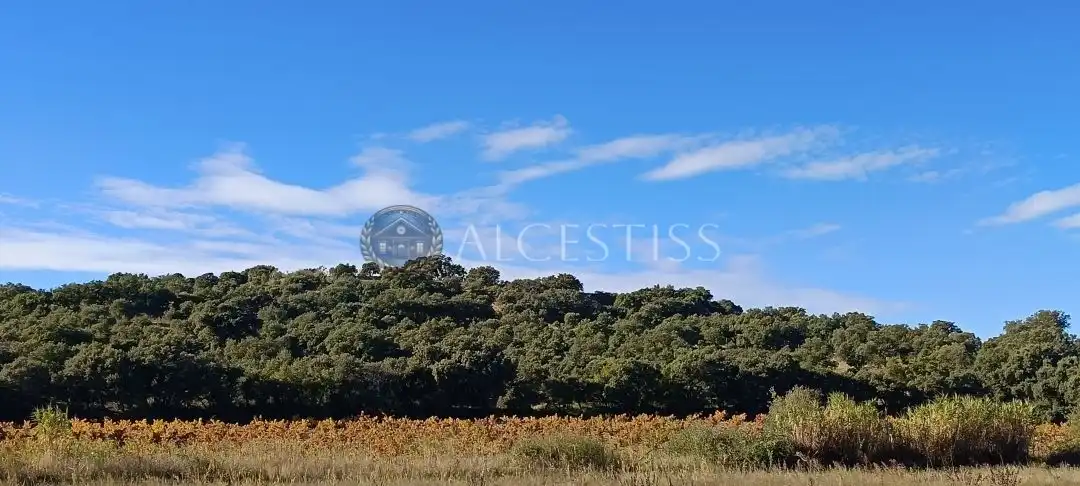 Terreno rústico en venta en Villamanta, imagen 4