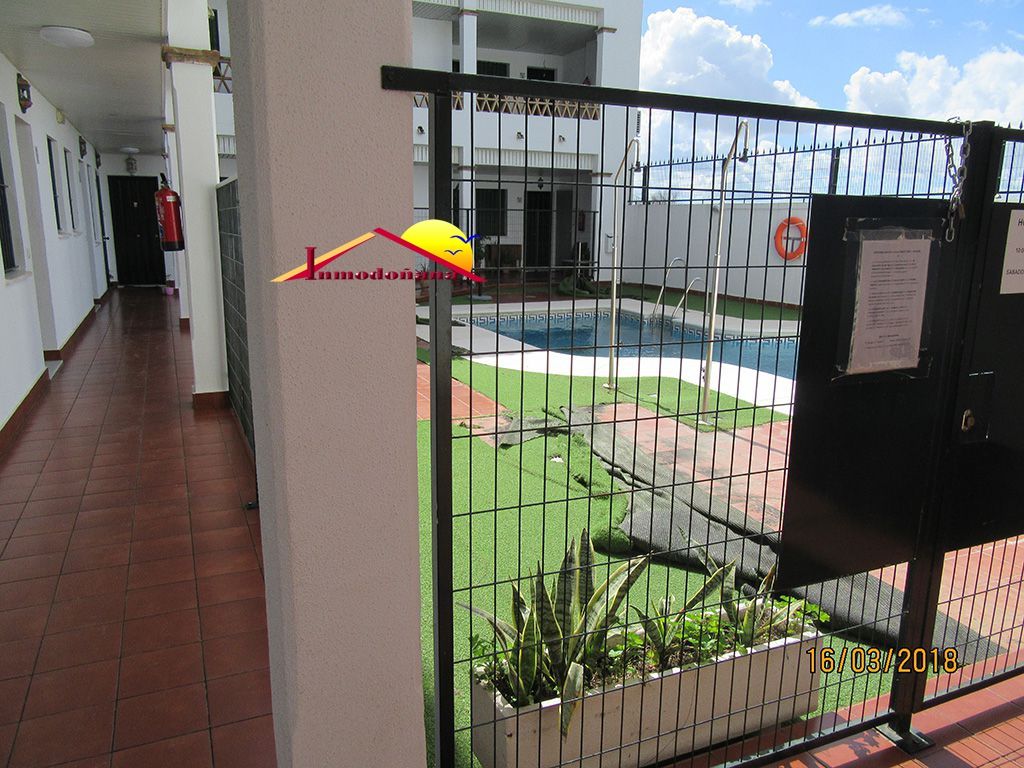 Swimming pool of Apartment for sale in Bollullos Par del Condado  with Storage room
