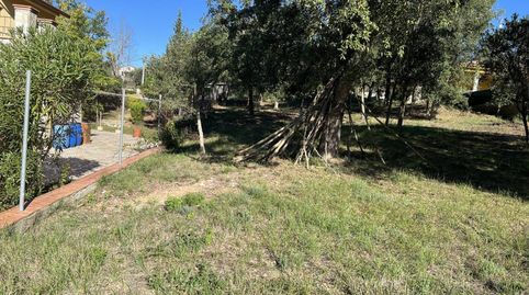 Terreno en alquiler en Sils, immagine 2