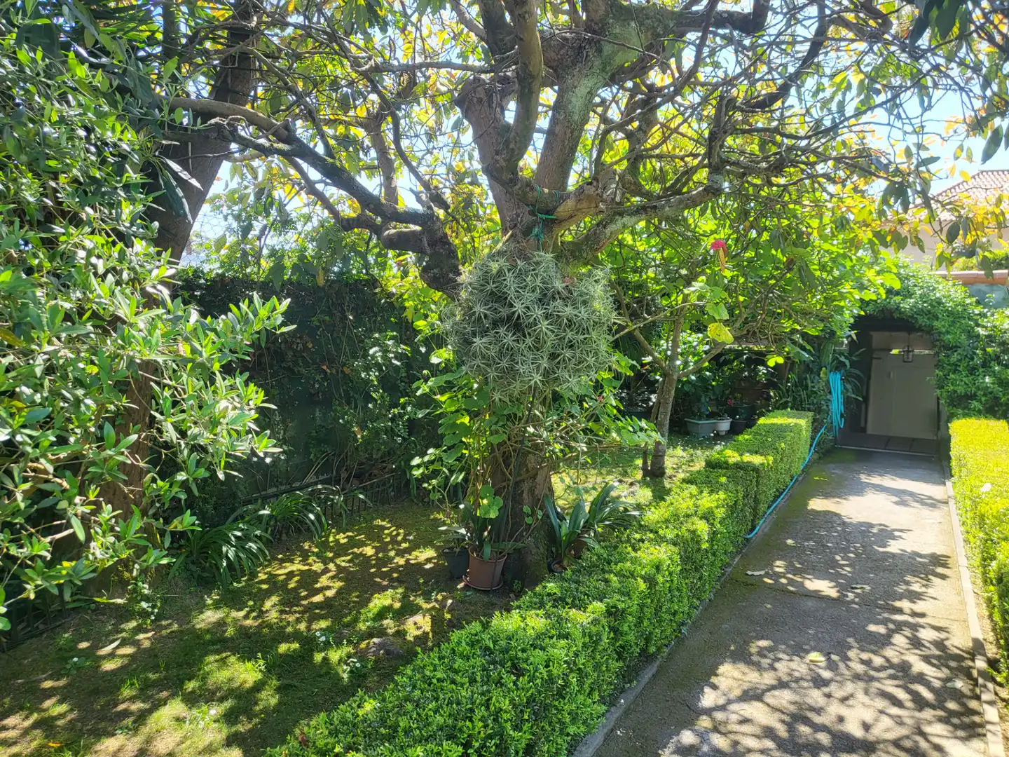 Jardín de Casa o chalet en venta en Vigo  con Calefacción, Jardín privado y Terraza
