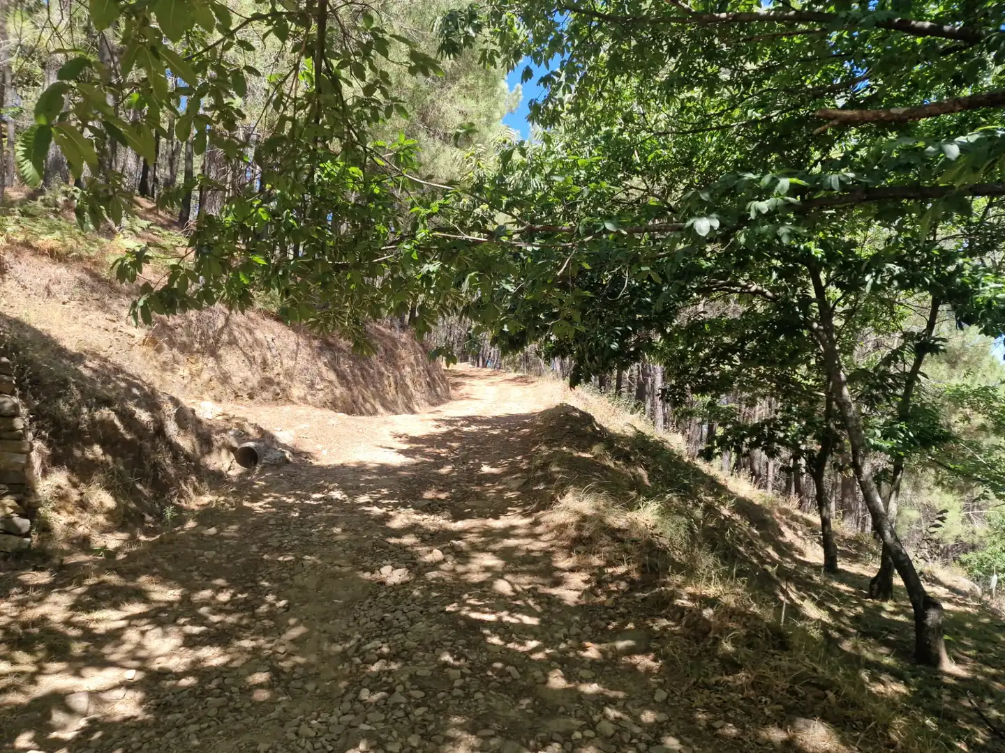 Terreno en venta en Guisando, Ávila