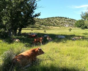 Terreny en venda en  Teruel Capital