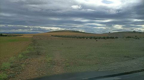 FINCA RUSTICA A PIE DE CARRETERA, immagine 5