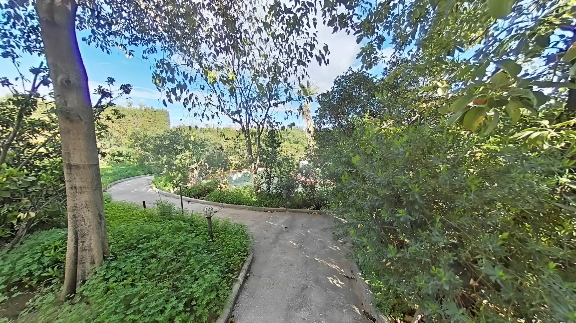 Vista exterior de Casa o xalet en venda en Alhaurín de la Torre amb Aire condicionat, Calefacció i Jardí privat