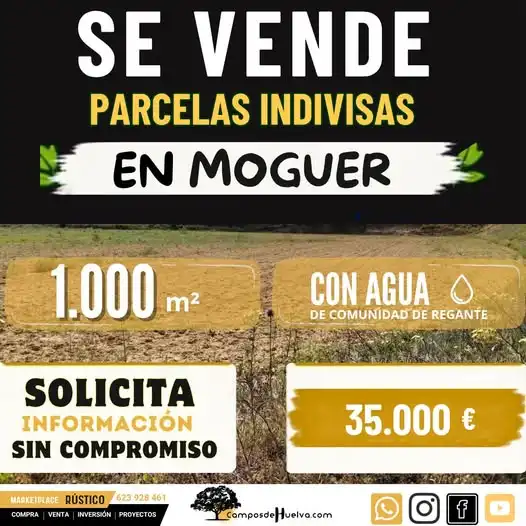 Terreno rustico in vendita a Diseminado Diseminados 232