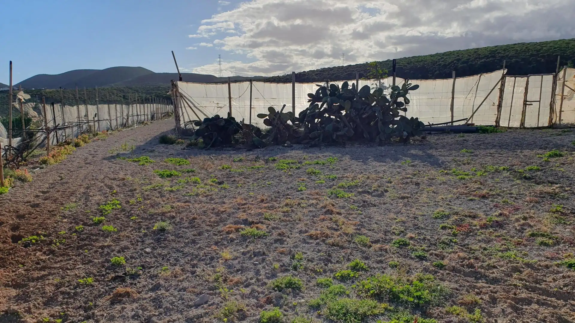 Terreno rustico in vendita a Arico, imagen 19