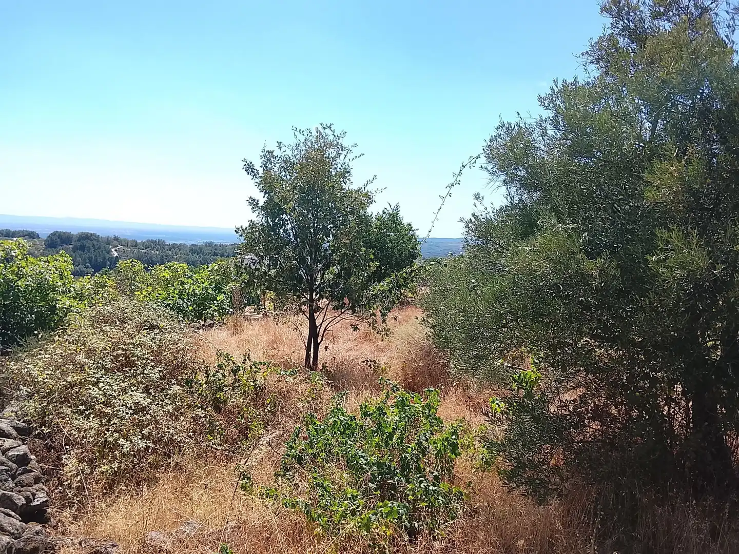 Terreni e lotti in vendita a Talaveruela de la Vera, imagen 11