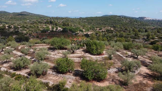 Terreno en Venta en Cervera del Maestre