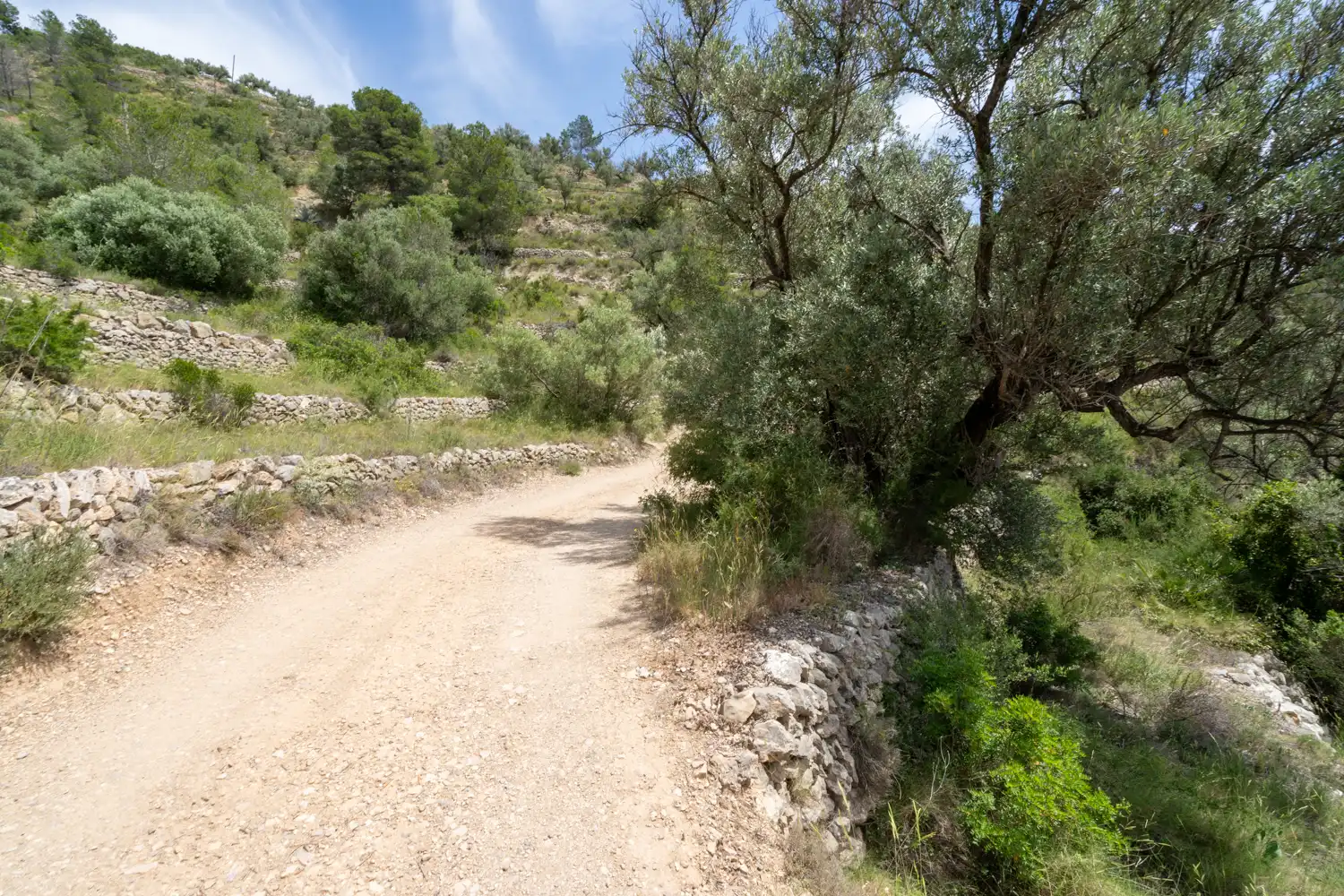 Terrain rustique à vendre à Camí dels Corrals de la Riba 9, imagen 6