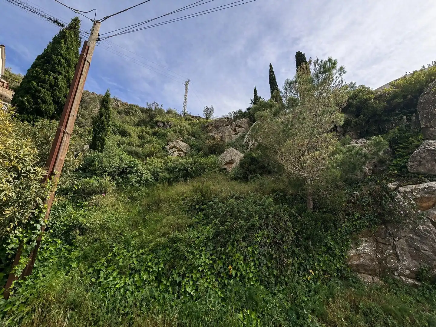Terreny residencial en venda a Carretera d'Antoni Canals, imagen 9