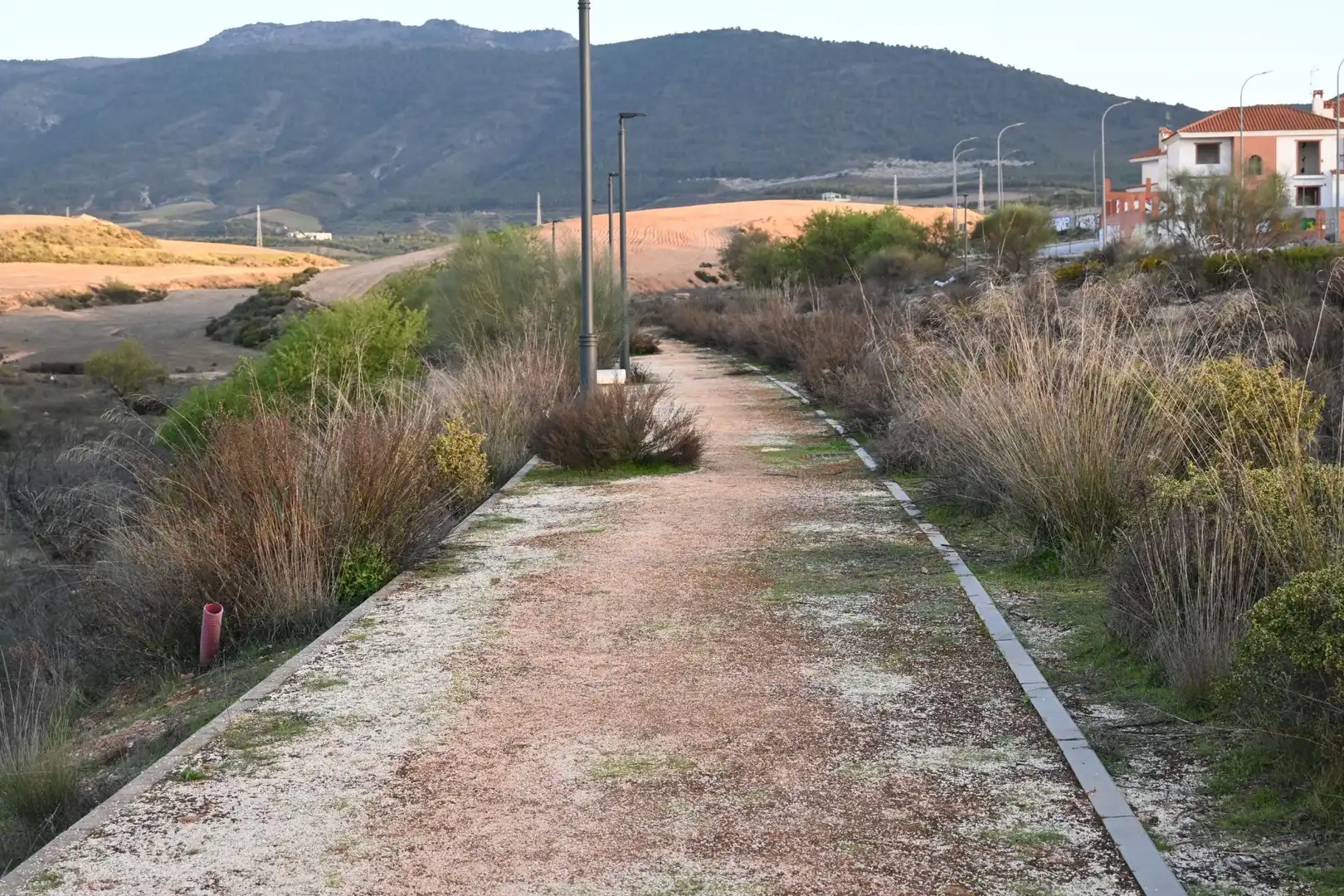 Terreni e lotti in vendita a Calle Abelia 13, imagen 11