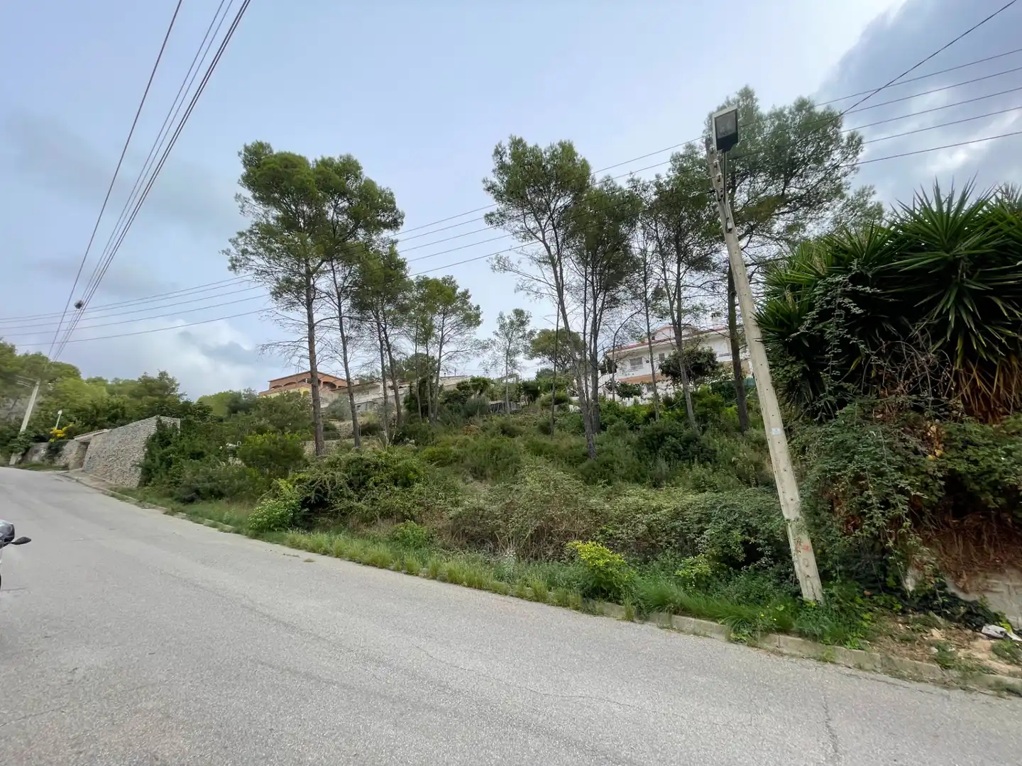 Terreny residencial en venda a Carrer de l'Alzina 25, imagen 12