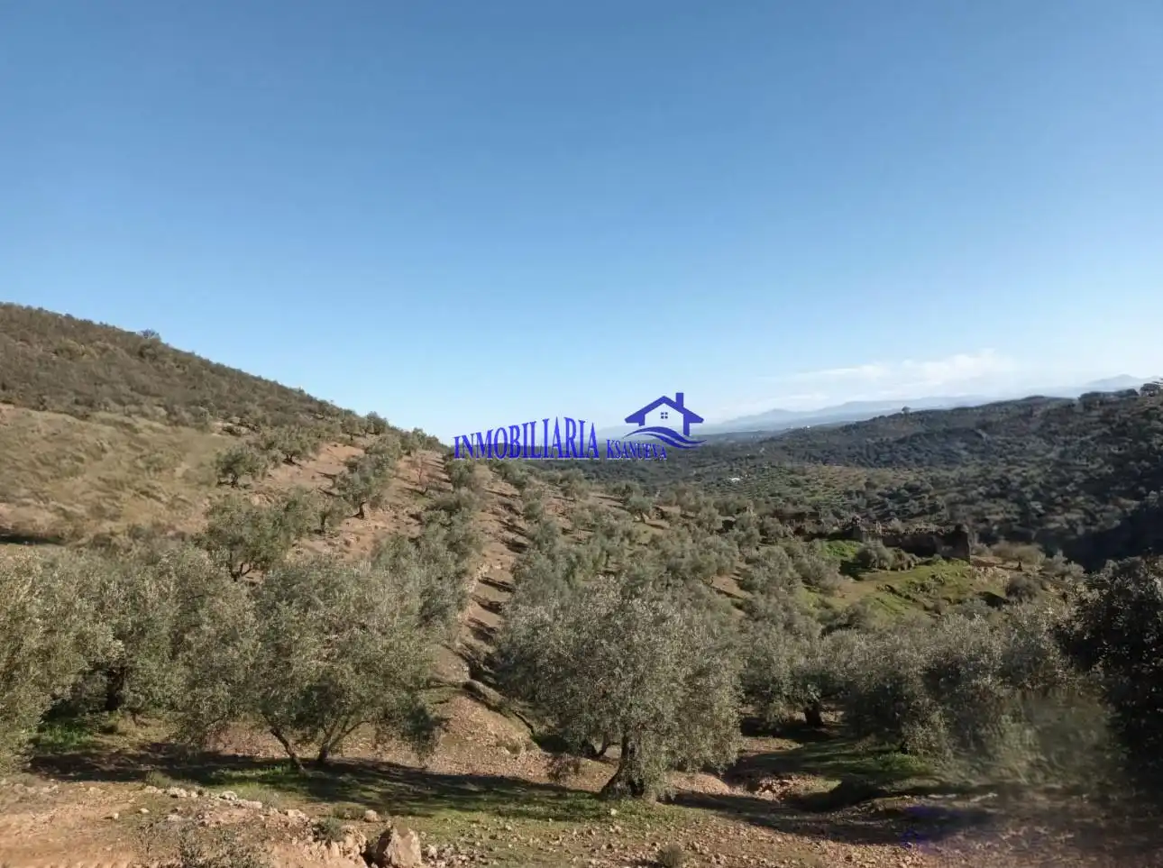 Country homes for sale in Adamuz, Córdoba