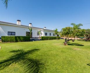 Jardí de Casa o xalet en venda en Elche / Elx amb Aire condicionat, Terrassa i Piscina