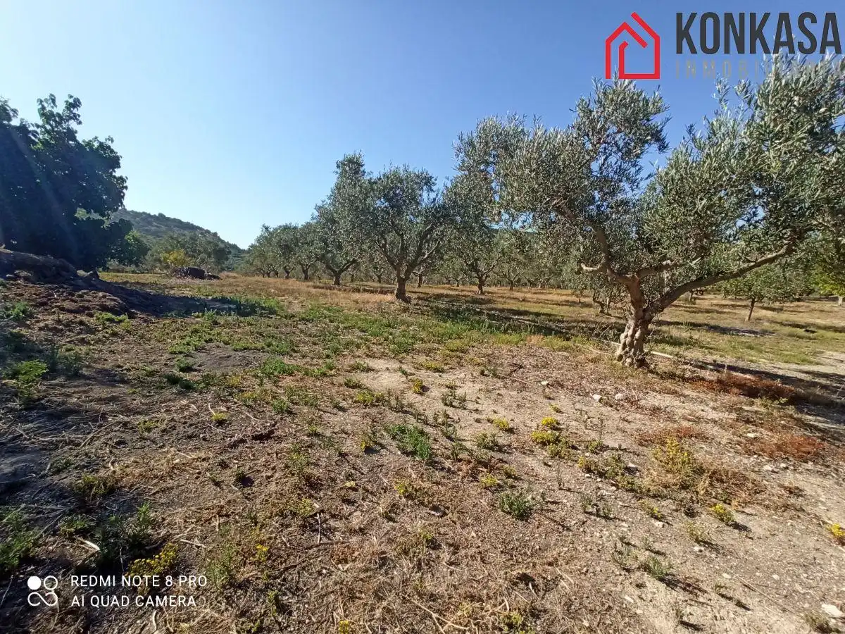 Chalet en venta en Arcos de la Frontera, imagen 29