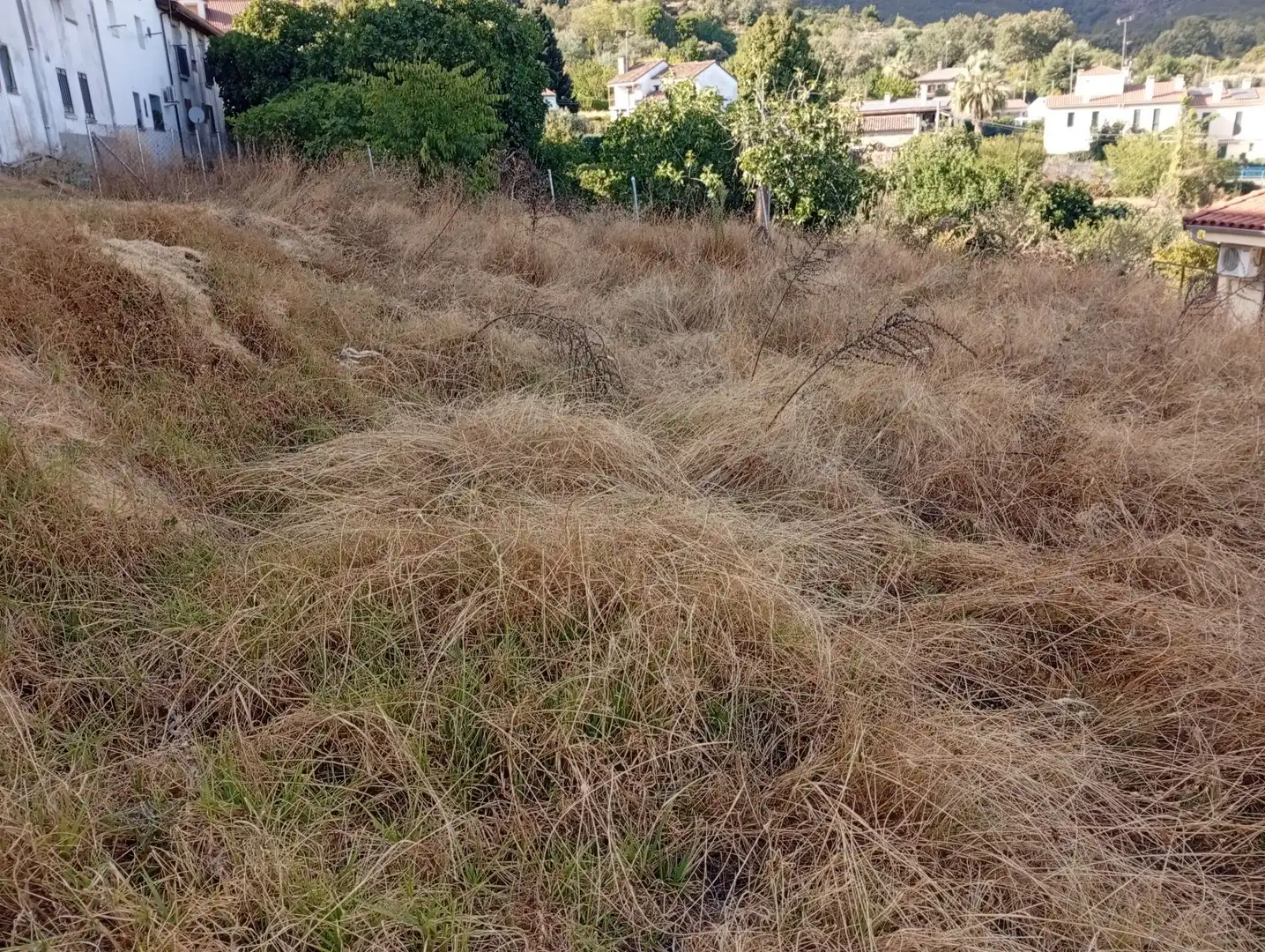 Terreni e lotti in vendita a Villanueva de la Vera, imagen 18