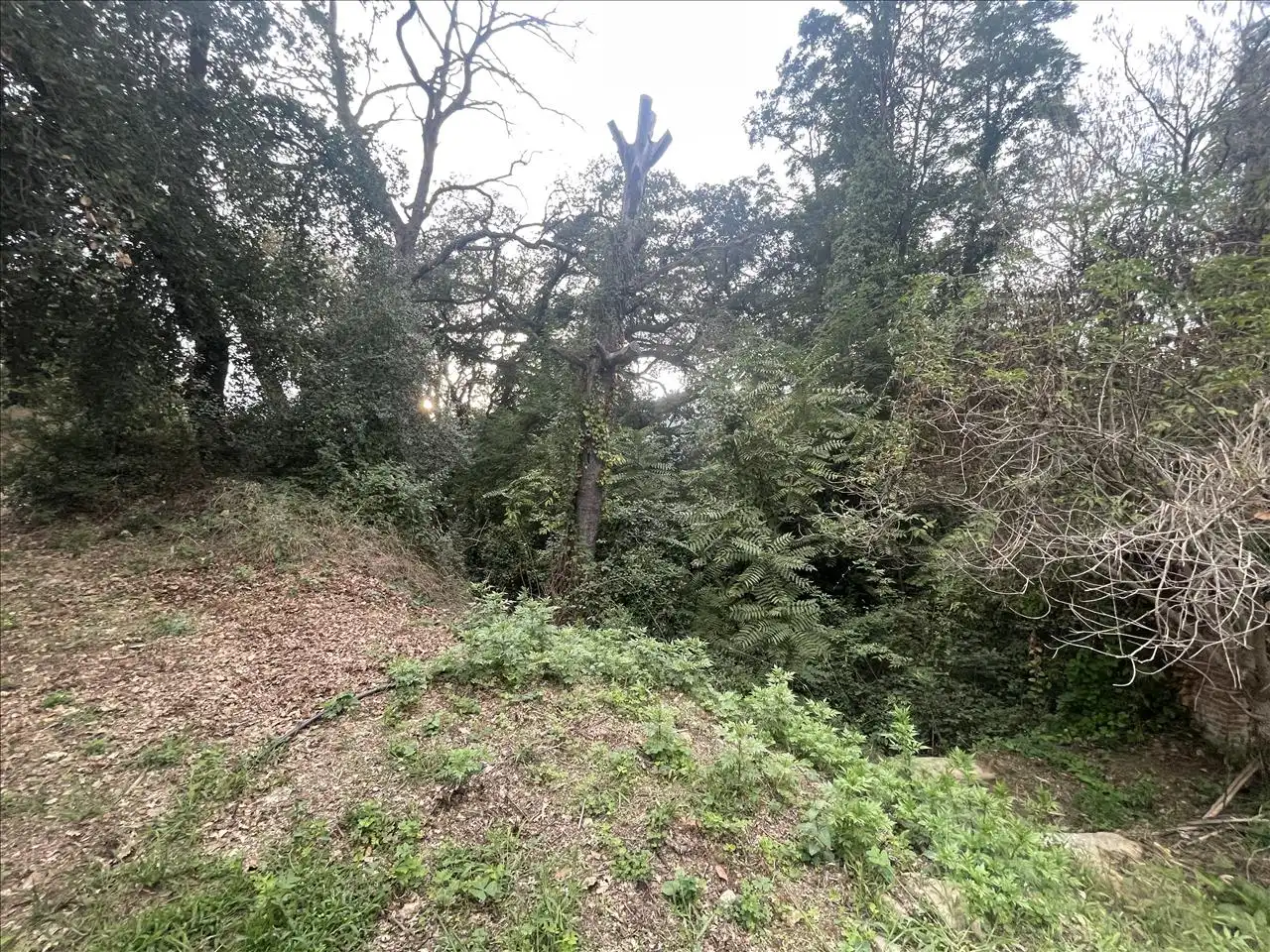 Rural land for sale in PLA DE PALOU, imagen 19