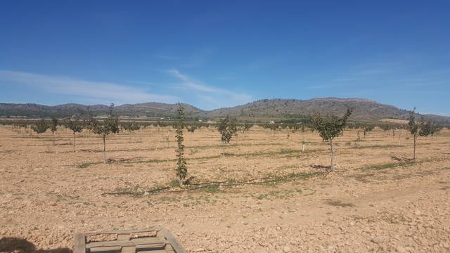 Terreno en Venta en N/A, -1 en Palacio