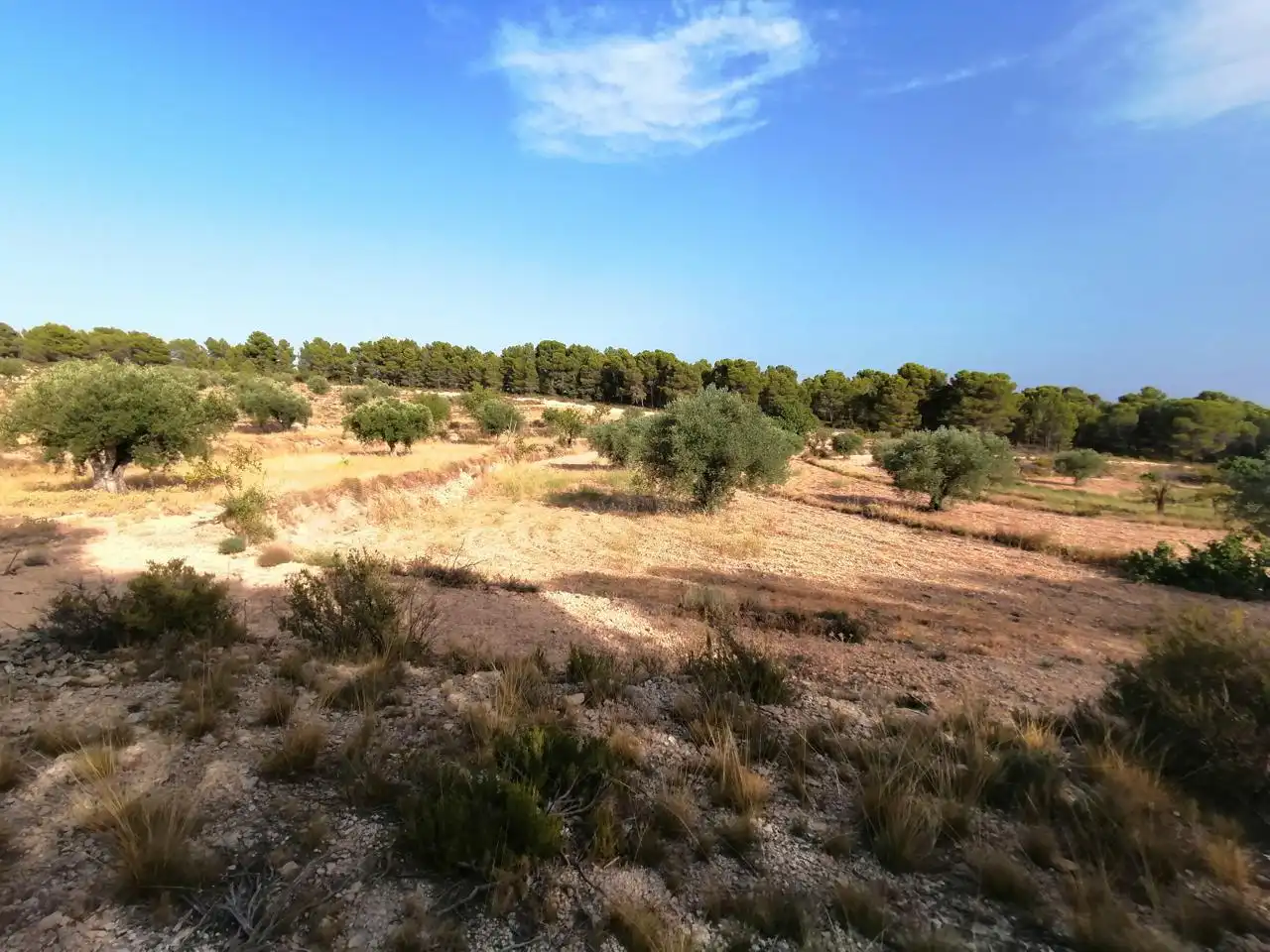 Terrenys i solars en venda a Onil, imagen 3