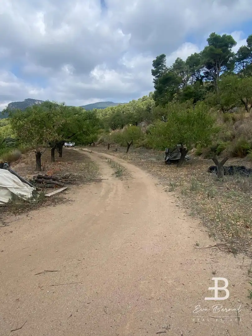 Terreny rústic en venda a Alforja, imagen 4