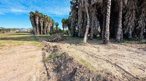 Photo 3 of Land for sale in Les Planes, Barcelona