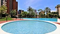 Swimming pool of Flat for sale in Benidorm  with Private garden, Terrace and Community pool