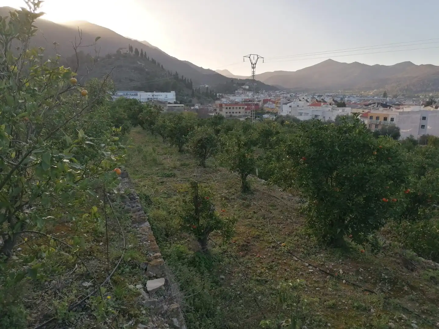 Rural land for sale in Vilallonga / Villalonga, imagen 6