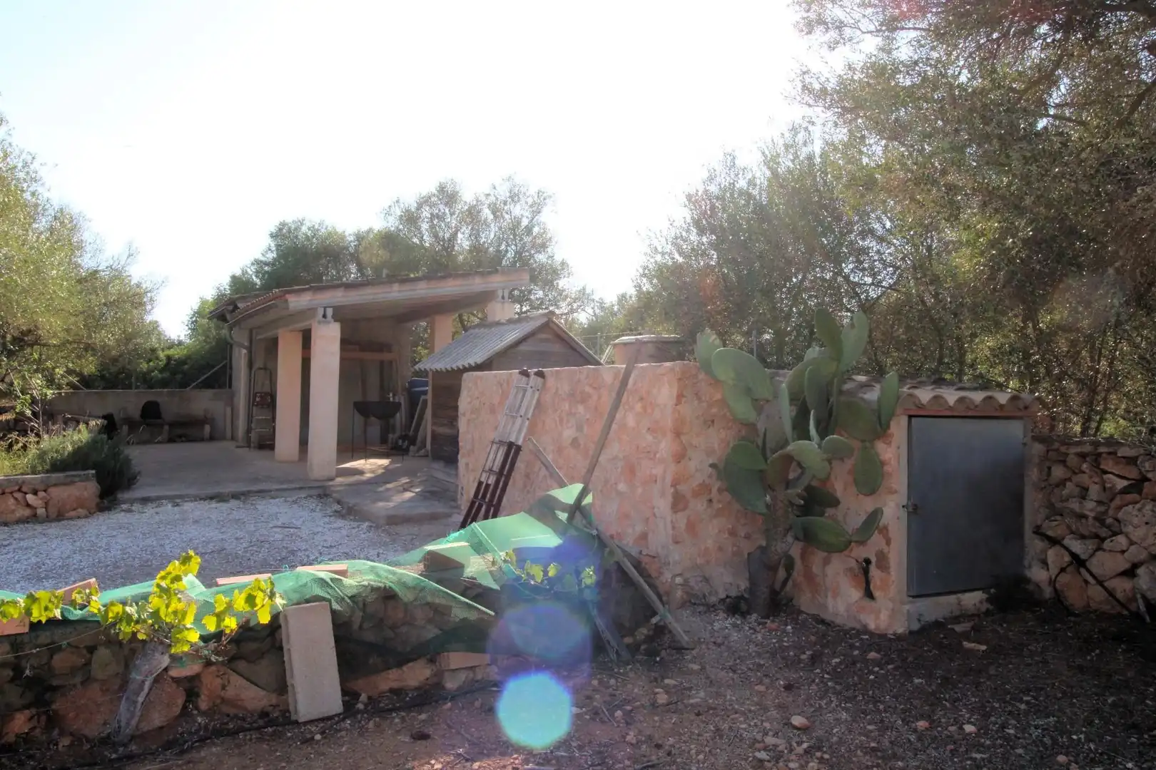 Terreny rústic en venda a Llucmajor pueblo, imagen 17