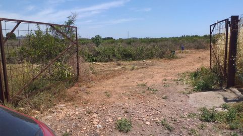 TERRENO ECONÓMICO RUSTICO A LA VENTA EN MONCADA.ZONA POLIGONO 3AUTOVIA A7., immagine 3