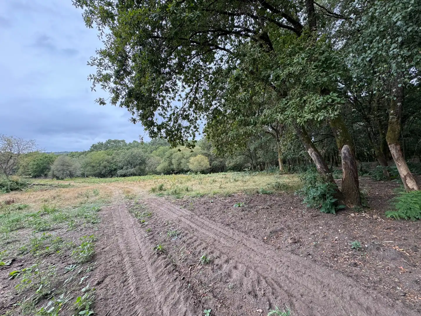 Land for sale in Boborás