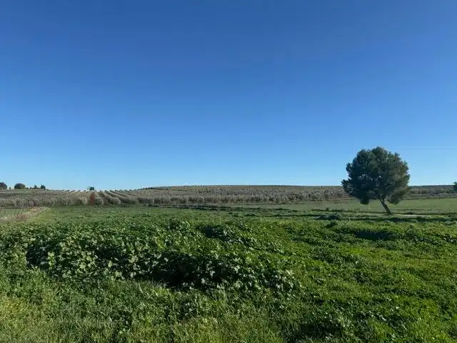 Country homes for sale in Antequera  with Heating, Private garden and Terrace