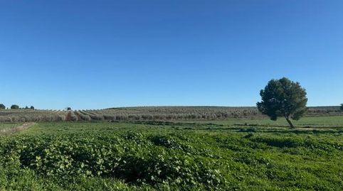 Photo 2 of Country homes for sale in Bobadilla - Bobadilla Estación - La Joya, Antequera