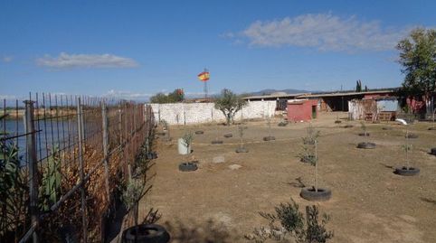 Foto 4 von Grundstücke zum Verkauf in Ribera del Tajo, Talavera de la Reina