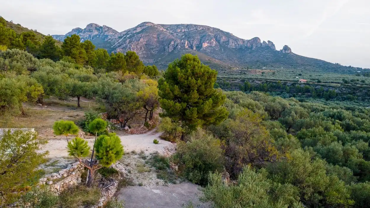 Finca rústica en venta en Mas de Barberans con Terraza y Trastero