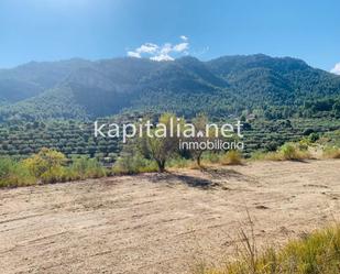 Industrial land for sale in Alfafara