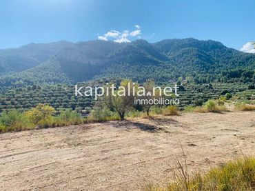 Terreno residenziale in vendita a Alfafara