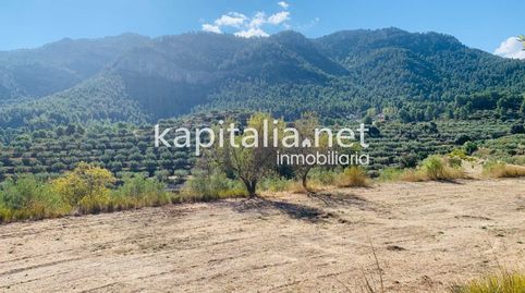 Parcela a la venta en Alfafara.