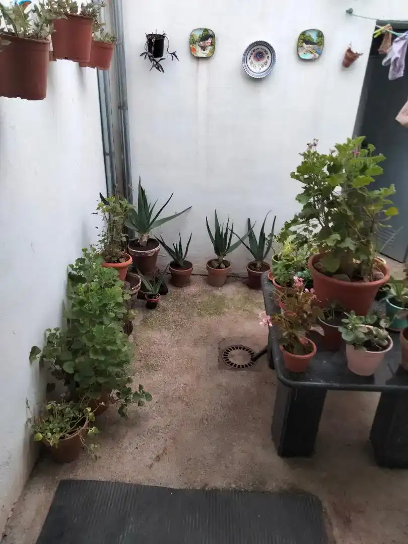 Terrassa de Pis en venda en Puebla del Maestre