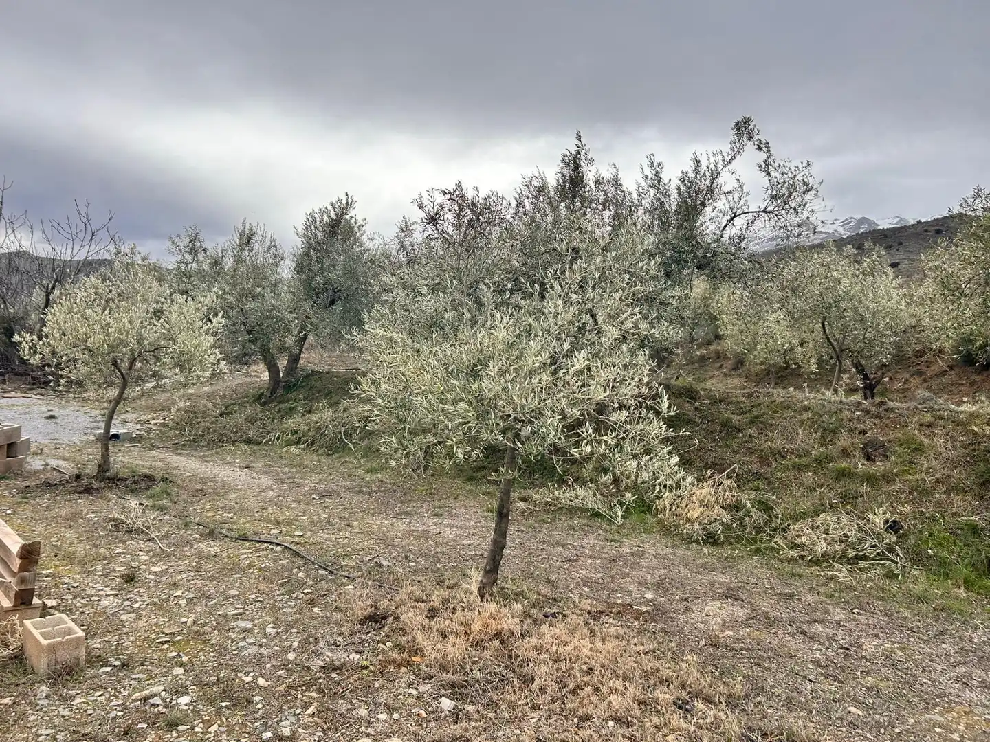 Finca rústica en venda en Abrucena