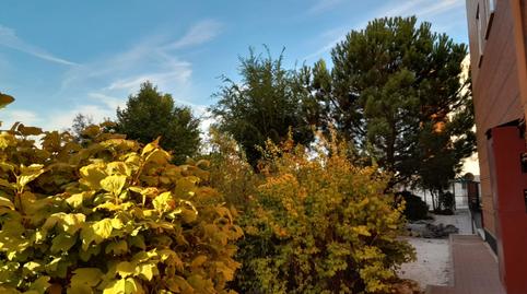 Foto 5 de Pis en venda a Calle de Berrocal, Butarque, Madrid