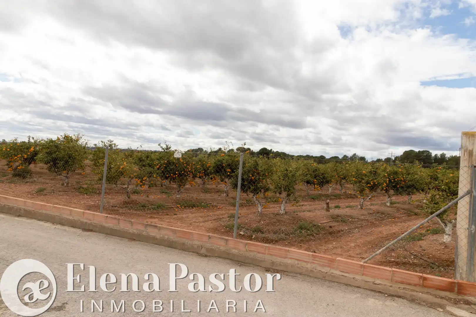 Terrain rustique à vendre à Los Pinares - La Masia, imagen 2
