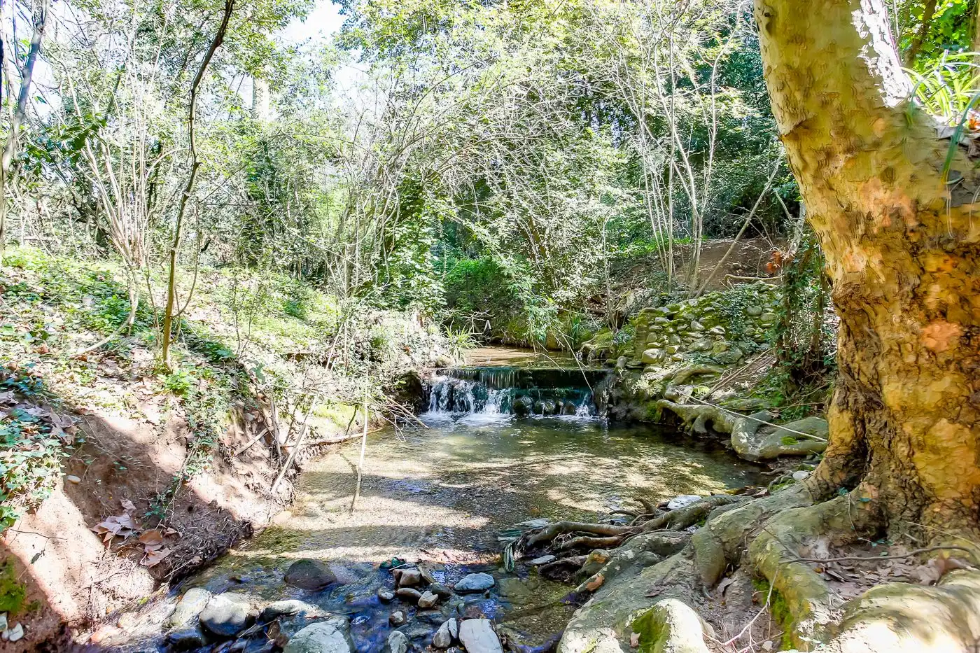 Vista exterior de Finca rústica en venta en Sant Antoni de Vilamajor