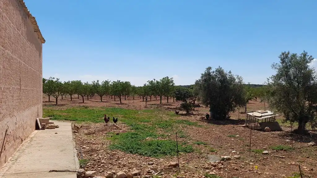 Finca rústica en venta en Munera