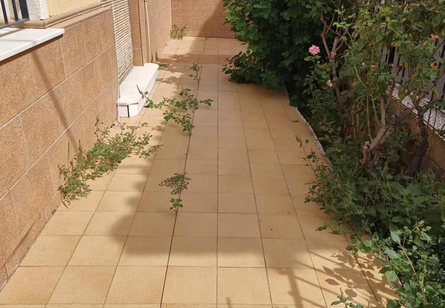 Terraza de Casa o chalet en venta en Pedanías Este